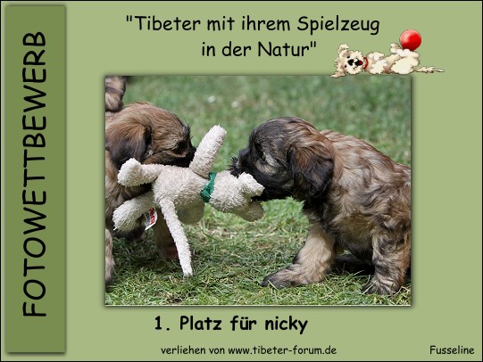 1platz_nicky-1